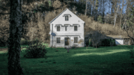 how much do foreclosed homes sell for at auction